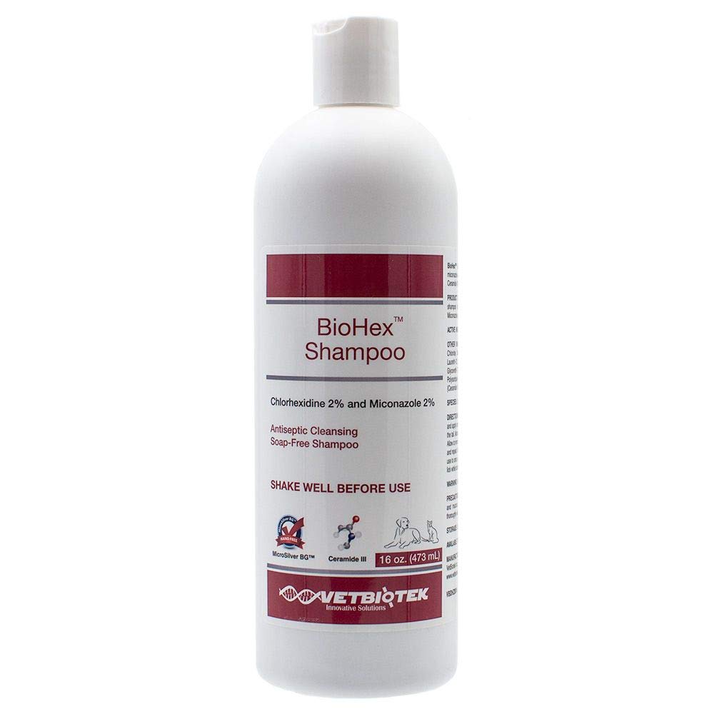 VetBiotek BioHex Chlorhexidine and MicroSilver Shampoo for Skin Infections in Dogs, Cats, and Horses (16 oz)