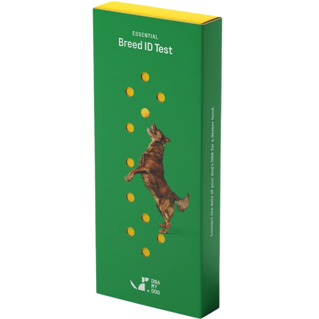 Dna My Dog – Essential Breed ID Test | Accurate DNA Analysis of 350+ Dog Breeds | Easy-to-Use Kit | Non-Invasive Cheek Swab | Results in 2 Weeks | Includes DNA Certificate & Detailed Breed Report