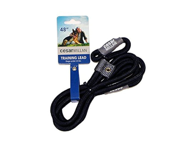 Cesar Millan Slip Lead Leash™ - 2-in-1 Slip Collar Dog Training Lead & Collar | Heavy Duty Durable Weatherproof Rope Leash, No Pull Training | Length 4ft Diameter 4/10”(Regular, Black)