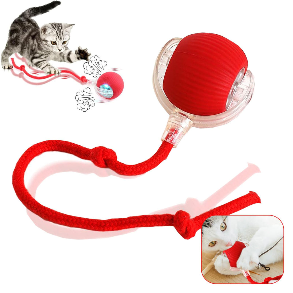 iodue Interactive Dog Ball, Electric Automatic Dodgeball for Cat and Dog, Smart Rolling Ball Toy for Pet (red, 72g, Bacon Scent)