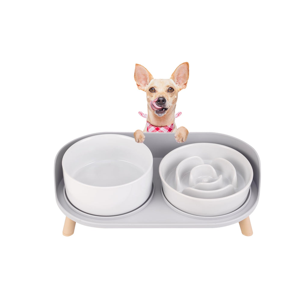 Elevated Slow Feeder Dog Bowls - Ceramic Food and Water Bowl Set with Stand - Raised Pet Dishes for Small and Medium Sized Dogs