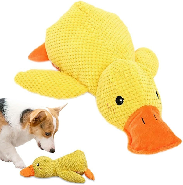 Dog Calming Duck37