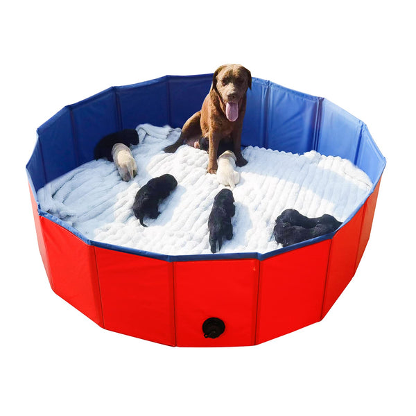 Artilife Foldable Dog Bath Pool - Portable Whelping Box for Puppies & Dogs (47" Dia.x12" H(120x30cm))
