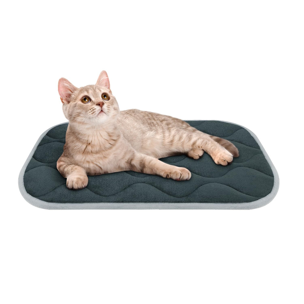 furrybaby Dog Bed Mat Flat Crate Mat with Anti-Slip Bottom Machine Washable Pet Kennel Pad for Dog Sleeping (XS 22x13'', Grey Mat)