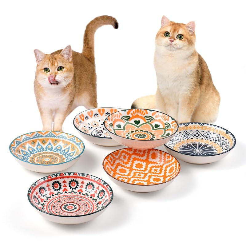 Ceramic Cat Bowls for Indoor Cats & Kittens, Whisker Friendly 5.5 Inch Shallow Plates, Set of 6 Cute Pet Feeding Dishes for Wet Dry Food and Water