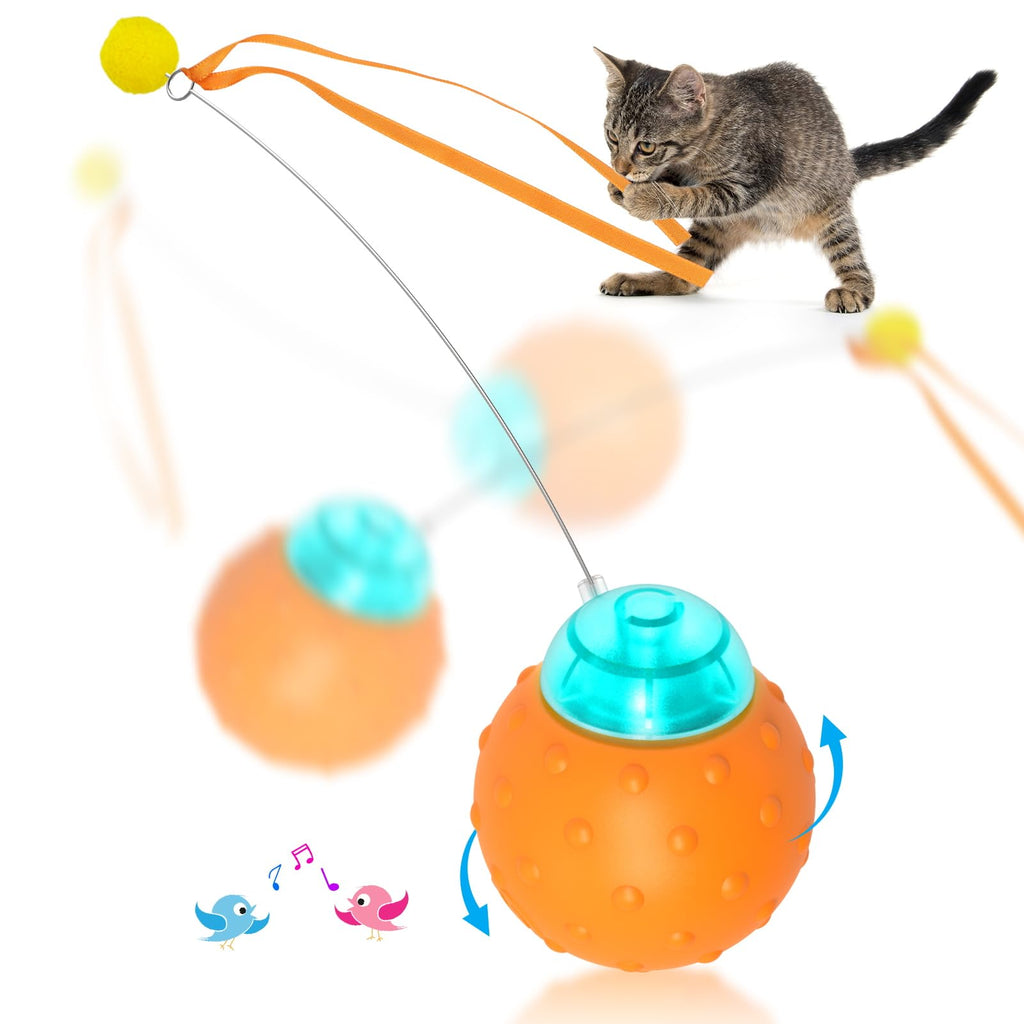 Waaiio Interactive Cat Toy Ball, Touch Activated Cat Toys for Indoor Cats with Chirping Bird, Automatic Rolling Ball, Rechargeable Self Play Kitten Toys