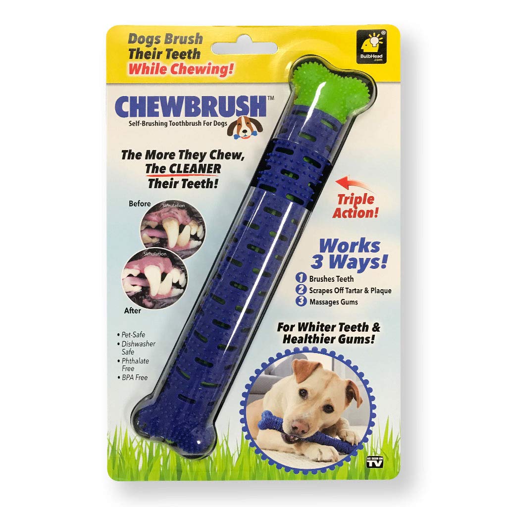 BulbHead Chewbrush Toothbrush and Toy - No Dog Toothpaste Required - Great Teeth Cleaning Toy (1 Pack)
