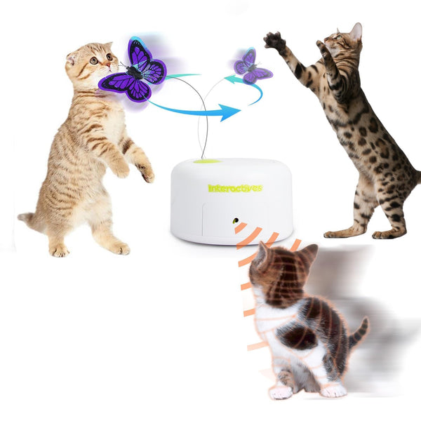 ALL FOR PAWS Interactives Teaser Toy With Catnip - Flutter Bug Wand for Cat and Kitten Fun Playing (Shiny Butterfly)