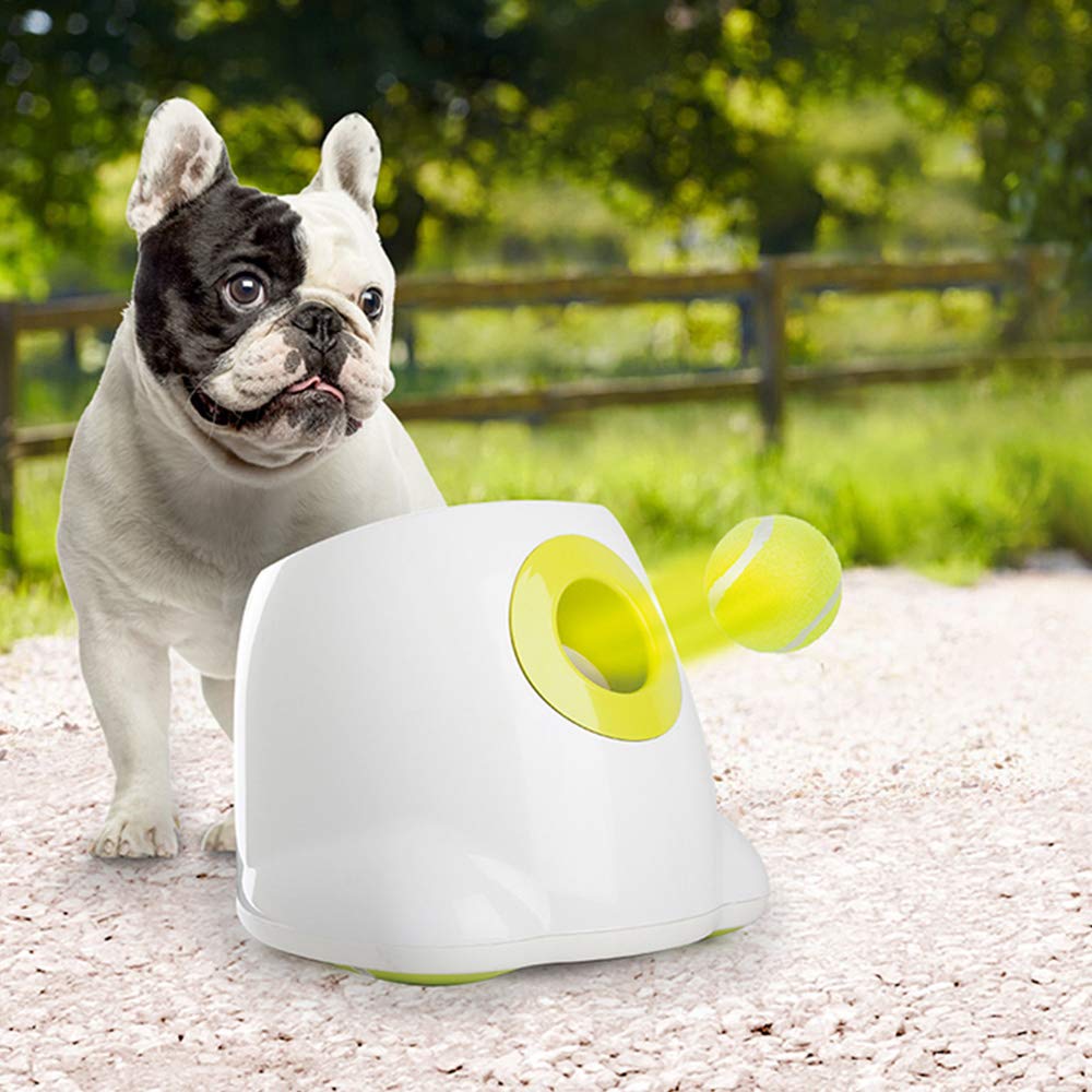 ALL FOR PAWS Original Dog Automatic Ball Launcher for Small and Medium Dogs, Dog Tennis Ball Throwing Machine,Interactive Dog Toy Dog Enrichment Mental Stimulation Toys, Reduce Boredom and Stress
