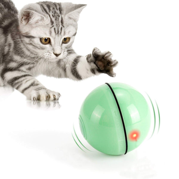 WWVVPET Interactive Cat Toy With LED Light, 360 Degree Self Auto Rotating Smart Ball, USB Rechargeable Spinning Toy, Stimulate Hunting Instinct for Kittens, Funny Chaser Roller Pet Toy