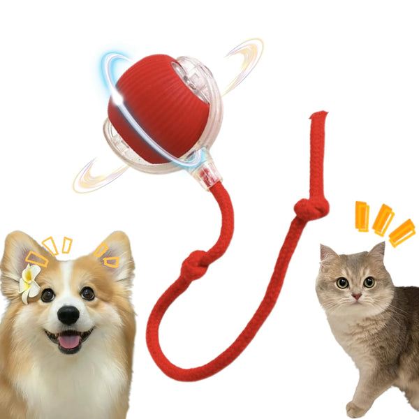 AMATFFUG Interactive Cat Toy,Electric DogBall Toy,Cat Toys for Indoor Cats,Chewie Viral Dog Ball,Adjustable Sports RollingToy,Electric Rolling Ball Christmas Birthday Gift for Pets.(Red)