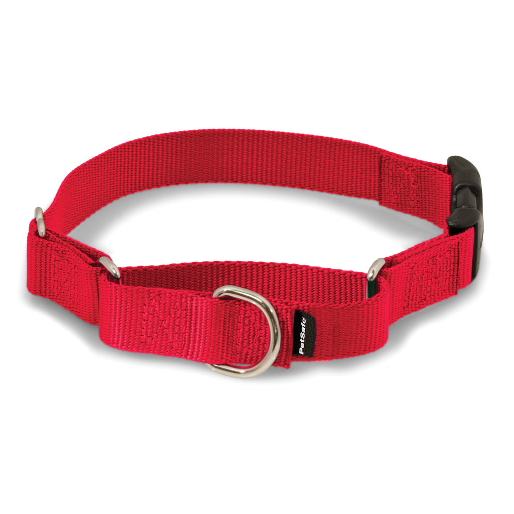 PetSafe Martingale Dog Collar with Quick-Snap Buckle - Small, 3/4 Inch, Red