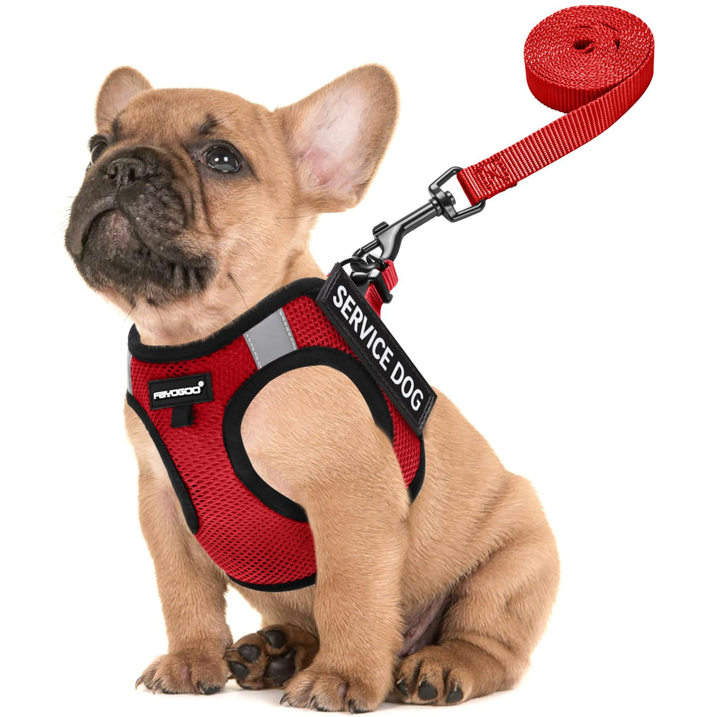 FAYOGOO Service Dog Vest for Small Breed - Lightweight Dog Harness with 6PCS Removable Patches - Puppy Harness and Leash Set for Walking,Training