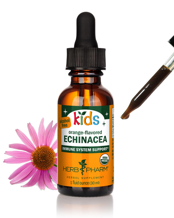 Herb Pharm Kids Certified-Organic Alcohol-Free Echinacea Glycerite Liquid Extract, 1 Ounce