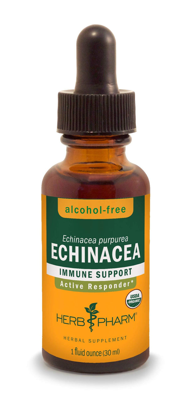Herb Pharm Organic Echinacea Root Extract, Alcohol-Free: Immune System Support for All Seasons, Fast-Acting Echinacea Plant Supplement, Non-GMO, Vegan & Gluten-Free, 1 Oz