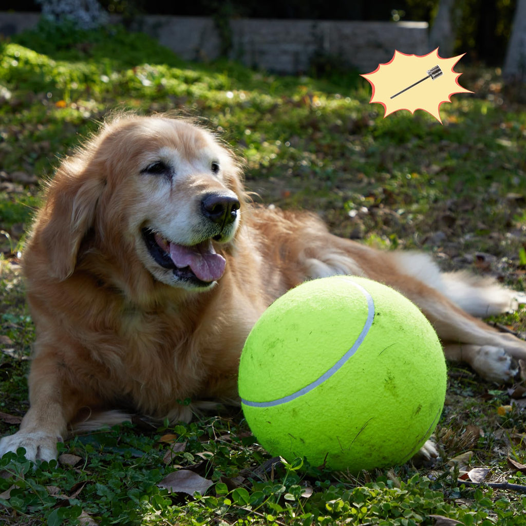 TYLIN Giant 9.5" Dog Tennis Ball - Funny Outdoor Sports Ball Yellow Big Tennis Balls for Birthday Gift ，Pet Toys for Small/Medium/Large Dogs