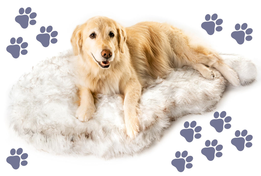 PupRug Orthopedic Dog Bed for Large Dogs with Fluffy Soft Faux Fur and Memory Foam for Joint Pain Relief, Machine Washable and Waterproof Couch Bed, White with Brown Accents, Large/Extra Large
