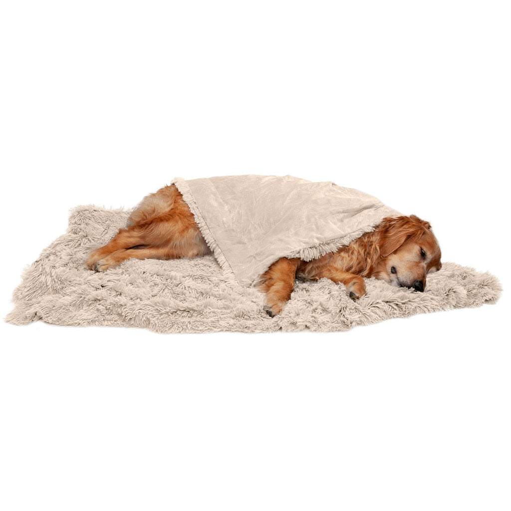 Furhaven Waterproof Throw Blanket for Dogs & Indoor Cats, Washable - Shaggy Plush Calming Long Faux Fur & Velvet Dog Blanket - Taupe, Extra Large/XL (Color May Vary)