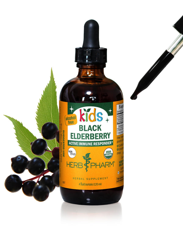 Herb Pharm Kids Certified-Organic Alcohol-Free Black Elderberry Glycerite Liquid Extract, 4 Ounce