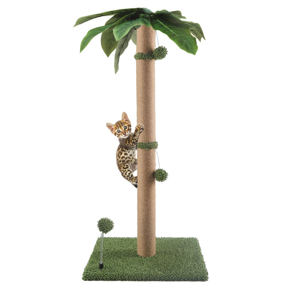 POMESEA Cat Scratching Post, 34'' Tall Cat Scratchers for Indoor Cats with Adorable Balls, Cute Cat Tree Tower Scratch Post for Large Cats and Kittens, Green, Medium