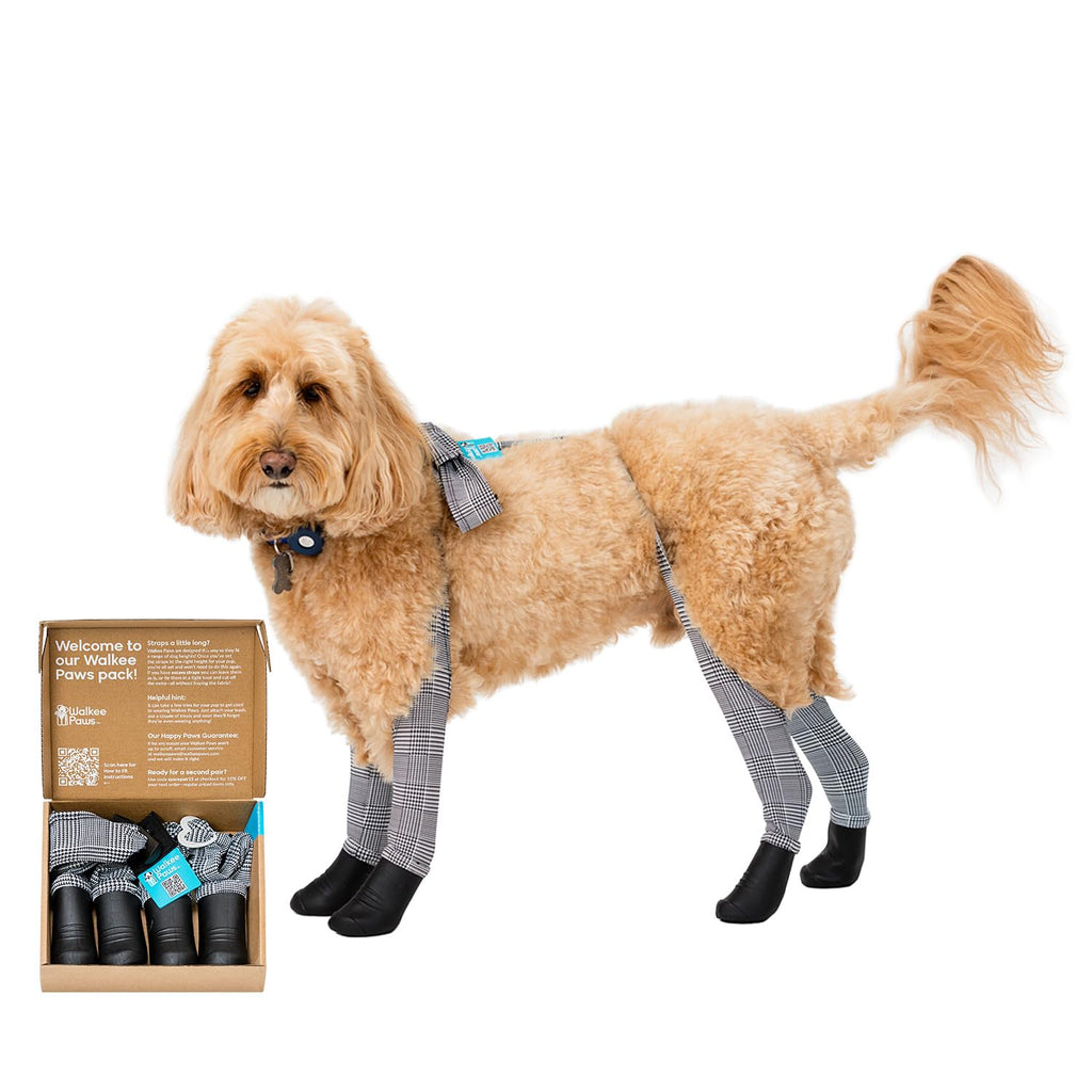 Walkee Paws New Deluxe Easy-On Dog Boot Leggings, Protects from Hot Pavement, Summer Showers, Wet Surfaces, Allergens (Classic, Small/Medium)