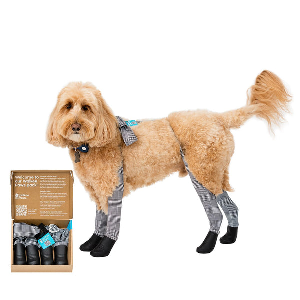 Walkee Paws New Deluxe Easy-On Dog Boot Leggings, Protects from Hot Pavement, Summer Showers, Wet Surfaces, Allergens (Classic, Small/Medium)