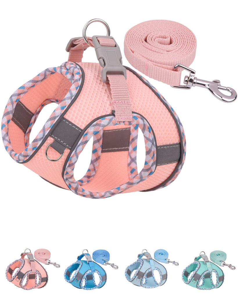 Petank Dog Harness for Small Medium Dogs No Pull, Puppy Harness and Leash Set, Step in Dog Harness for Walking, Running, Training, Small Dog Vest (Pink, XXS)