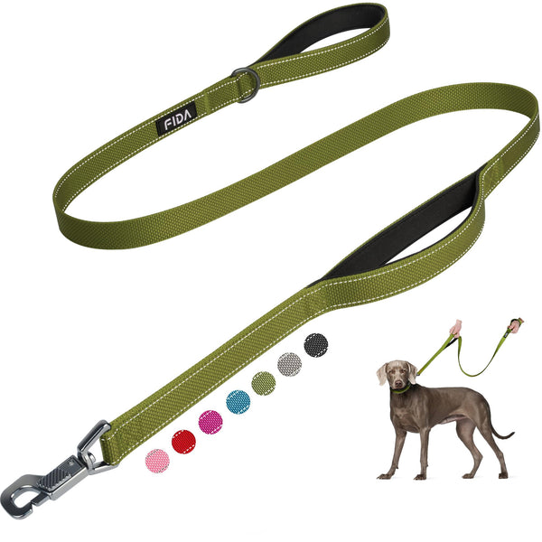 Fida 4 FT Heavy Duty Dog Leash with 2 Comfortable Padded Handles, Traffic Handle & Advanced Easy Snap Hook, Reflective Walking Lead for Large, Medium & Small Breed Dogs, Green