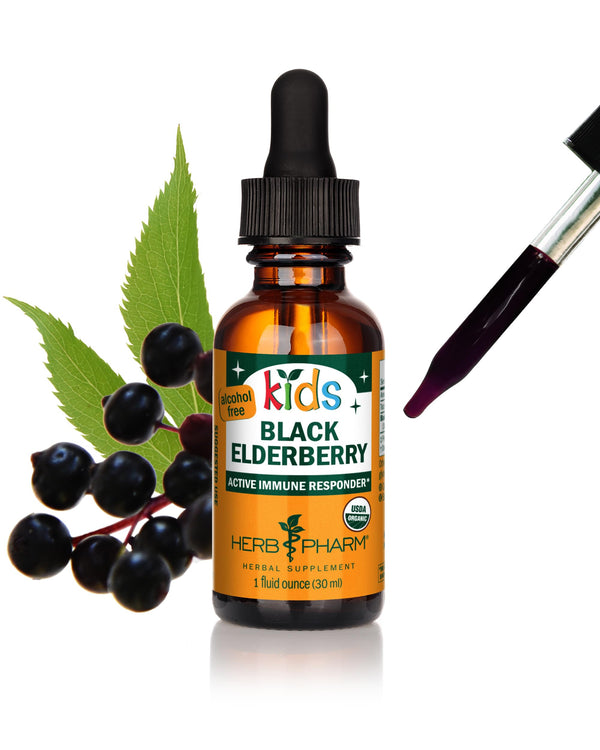 Herb Pharm Kids Certified-Organic Alcohol-Free Black Elderberry Glycerite Liquid Extract, 1 Ounce (GLKELD01)