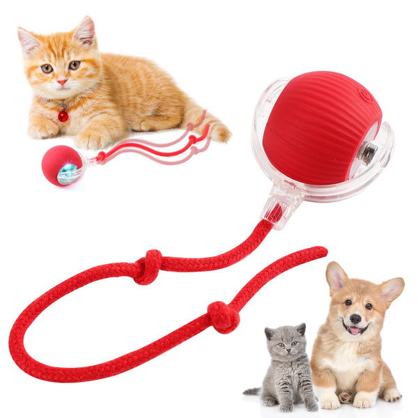 Chewie Interactive Cat & Dog Toys - Smart Automatic Rolling & Rotating Balls for Large & Small Dogs