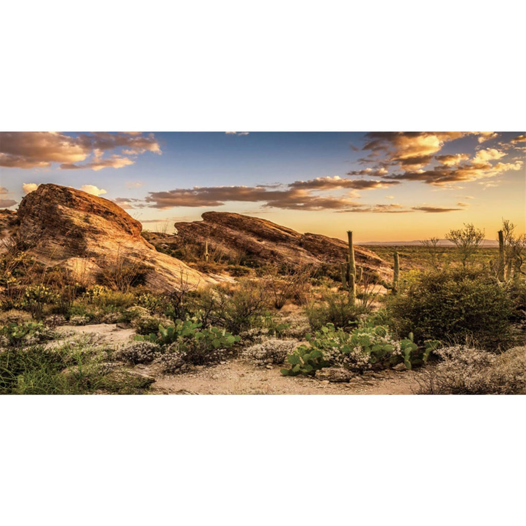 AWERT Terrarium Background 36x18 inches Reptile Habitat Background Blue Sky Oasis Cactus Sun and Desert Terrarium Background Polyester Terrarium Background