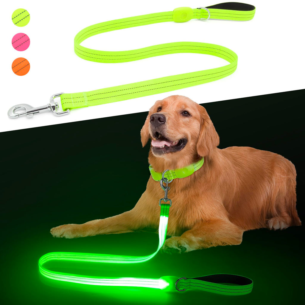LED Dog Leash, Light Up Dog Leash 4 Ft USB Rechargeable Waterproof, Nylon Reflective Leashes with Padded Handle for Dogs Night Walking Light, Safety Glow in The Dark for Large Medium Pets (Green)
