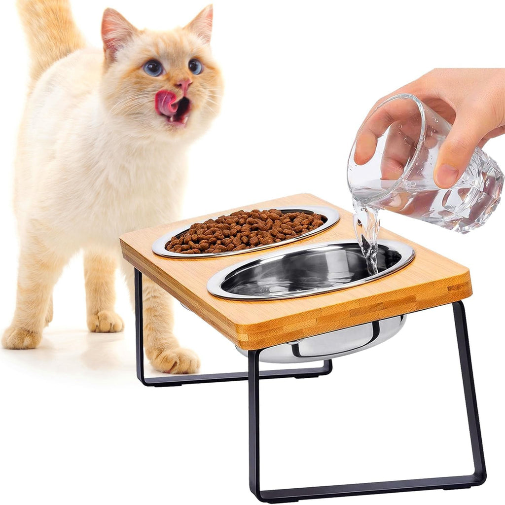 FUNACAY Elevated Cat Bowls, Raised Cat Bowl with 32 oz Stainless Steel Food Bowls Non-Slip Feeder for Cats and Puppy, 15° Tilted Raised Pet Dishes, Indoor Food Bowl with Bamboo Stand Anti Vomiting