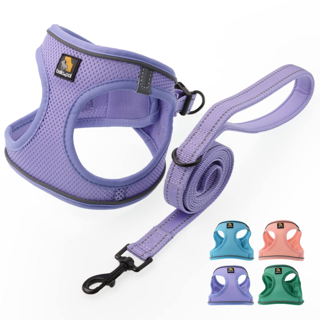 BELLA & PAL Puppy Harness with Leash Set, Step in Harness for Small Dogs, Dog Air Mesh Dog Vest Harness with Reflective Strip, No Pull No-Chock Harness for XXS, XS, Small, Medium Dog Cat (Lavender, S)