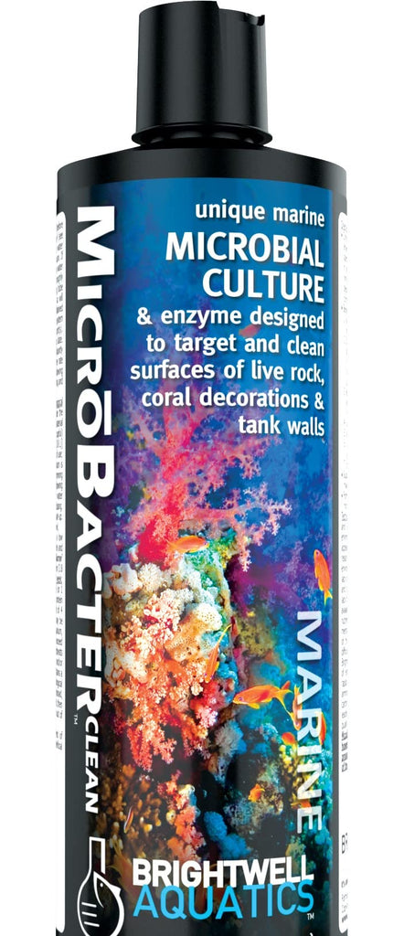 Brightwell Aquatics MicroBacter Clean - Microbial Culture & Enzyme Blend Fish Tank Cleaner - Cleans Live Rock Surfaces for Saltwater Fish Habitats - Aquarium Water Treatments, 8.45 fl oz