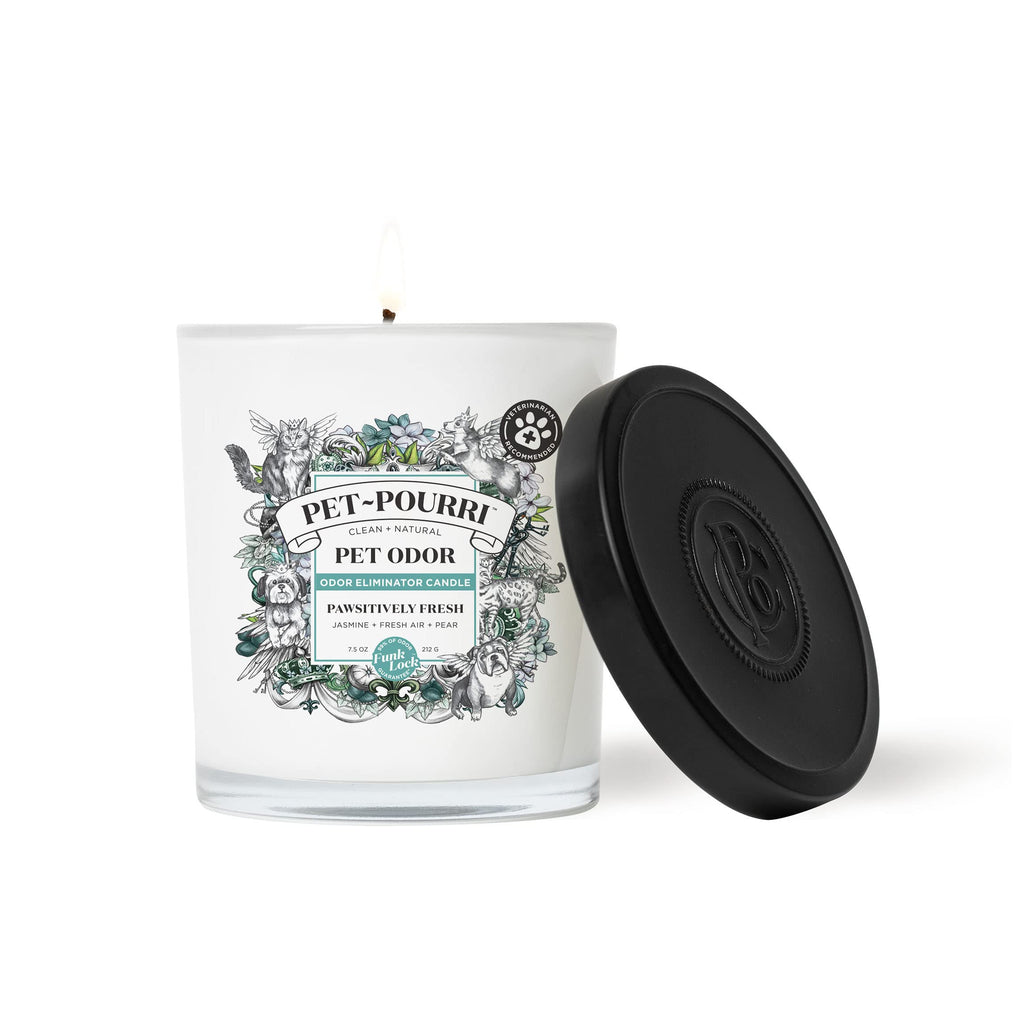 Pet-Pourri Pawsitively Fresh Pet Deodorizer Candle – Pet Safe Plant Based Ingredients & Wax – Vet Approved – Aromatherapy & Air Freshener for Pet Odor – Scented with Pineapple, Jasmine, & Pear