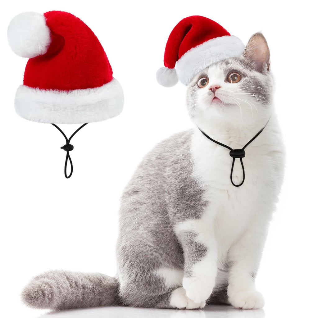 Queenmore Santa Hat for Dogs and Cats, Funny Tiny Christmas Hat for Small Dogs, Soft Plush Festive Red & White Santa Claus Costume, Christmas Dog Costume Cat Costume with Adjustable Band, S