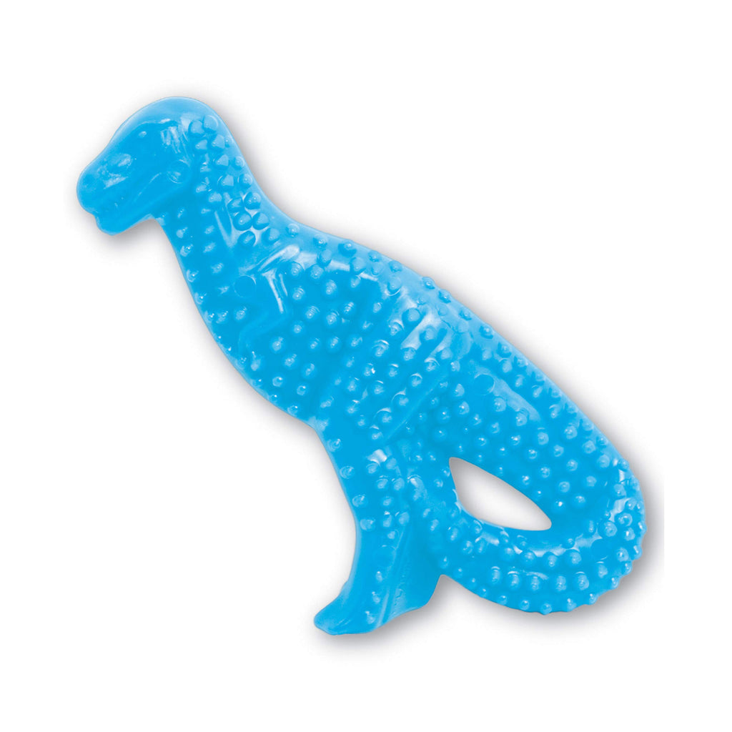 Nylabone Dental Dinosaur Power Chew Toy for Puppies, Puppy Toys for Teething & Chewing, Chicken Flavor, Small - Up to 25 lbs, 1 Count