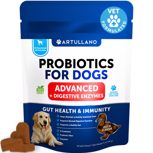 Probiotics for Dogs - Support Gut Health, Itchy Skin, Allergies, Immunity, Yeast Balance - Dog Probiotics and Digestive Enzymes with Prebiotics - Reduce Diarrhea, Gas - 70 Probiotic Chews for Dogs