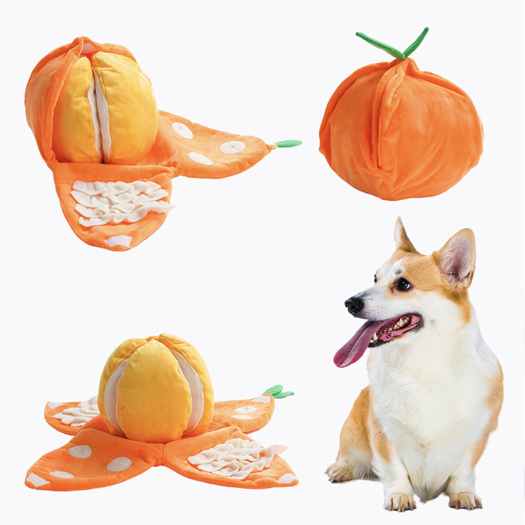 Nocciola Hide and Seek Plush Dog Toys, Orange Tangerine Interactive Dog Toy for Small Dogs, Puppy Squeaky Toy with Crinkle Papers, Puzzle Toy for Boredom, Nosework Pet Toy for Small Medium Dogs