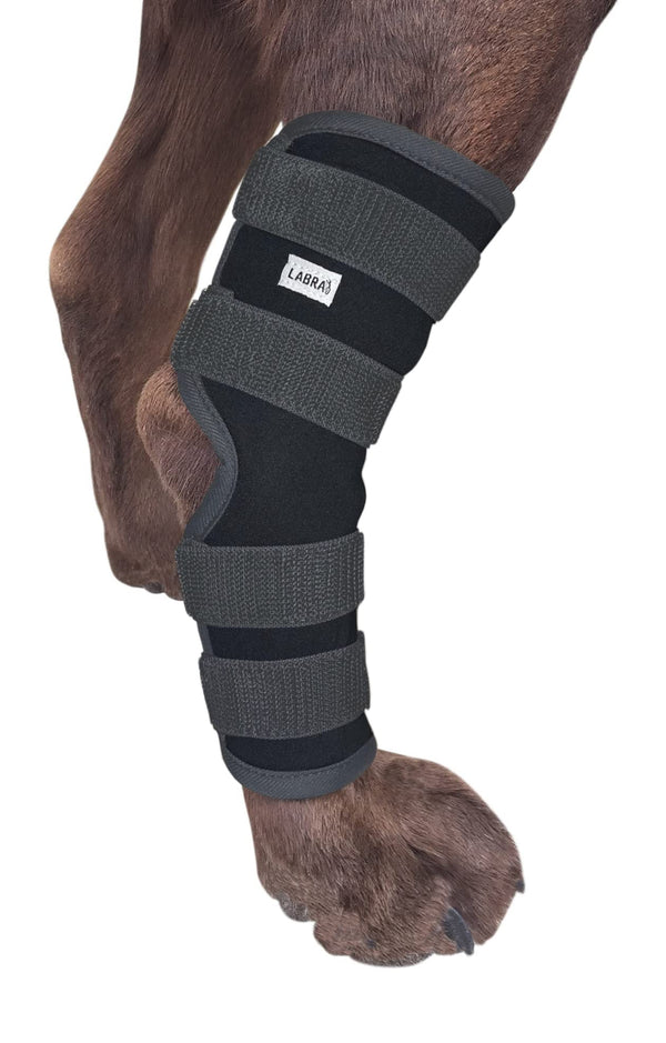 Labra Dog Extra Supportive Canine Rear (Hind) Leg Hock Joint Compression Wrap for Recovery, Protection, and Sprain and Injury Prevention, Ankle Brace