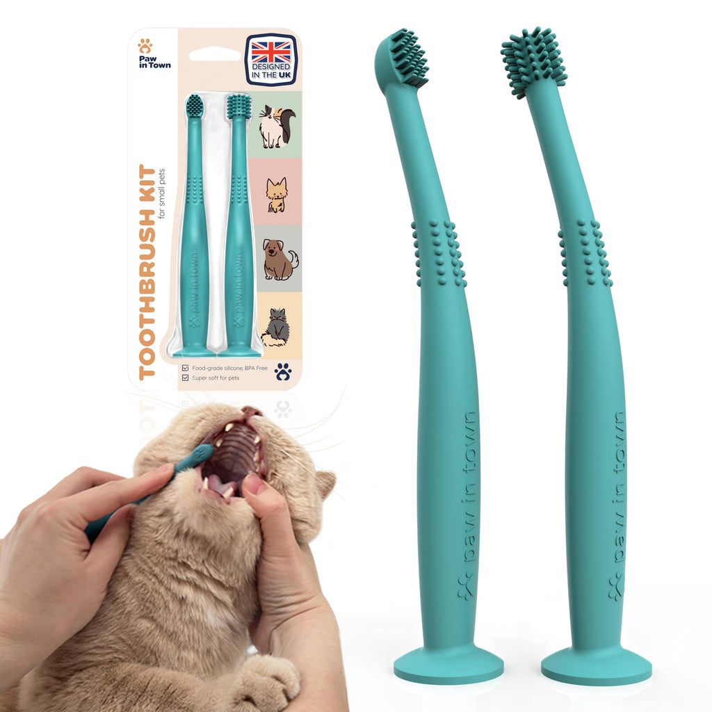 PAWINTOWN Soft Cat Toothbrush Set – Suitable for Dogs – Food Grade Silicone – Dental Care, Teeth Cleaning, Tooth Brushing Kit (Tropical Teal)