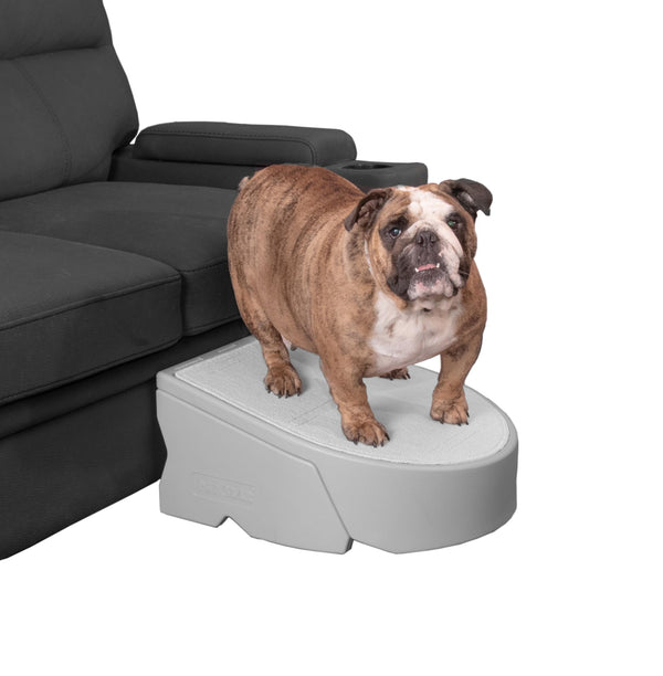 Pet Gear Stramp Stair and Ramp Combination for Dogs/Cats, Easy Step, Lightweight/Portable, Sturdy, Easy Assembly (No Tools Required) 1 Model, Available in 5 Colors