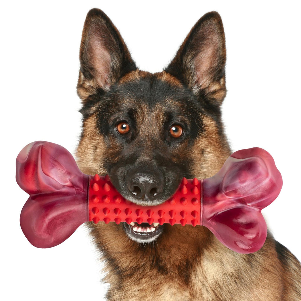 Apasiri Tough Dog Toys for Aggressive Chewers Large Breed, Beef Flavor Dog Chew Bone, Nylon & Rubber Chew Toy for Medium Large Dogs