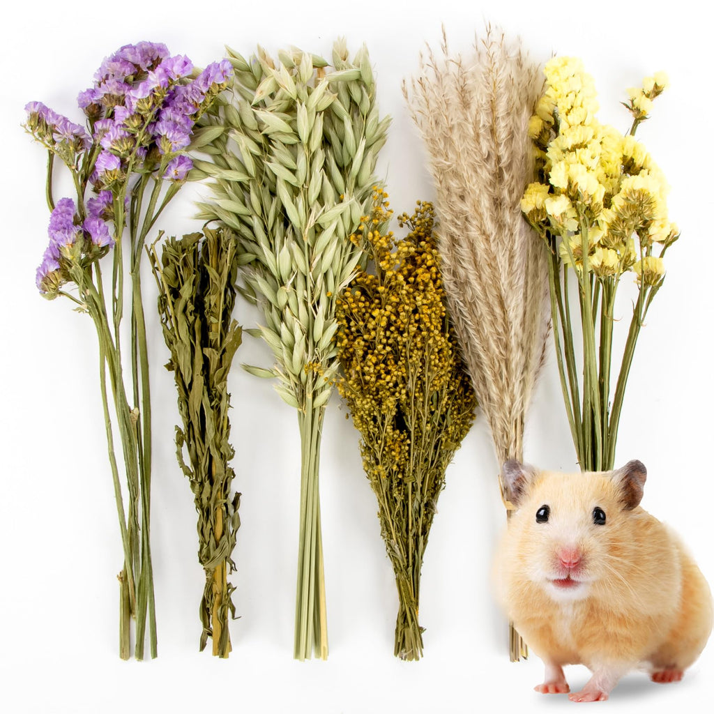 Sukh Herb Bedding Habitat Decor - Natural Flower Hamster Mate Herbs Sprays Cage Safe Pet Accessories Decorations Hideout for Hamsters Mouse Guinea Pig Dwarf Gerbils Syrian Mice