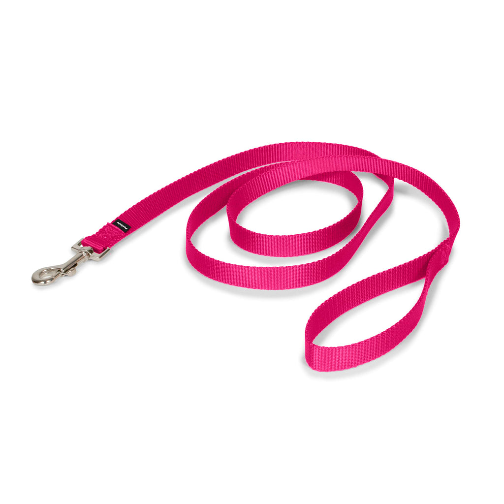 PetSafe Nylon Dog Leash – Strong, Durable, Traditional Style Leash with Easy to Use Bolt Snap for Small, Medium and Large Dogs - 3/4 in. x 6 ft., Raspberry