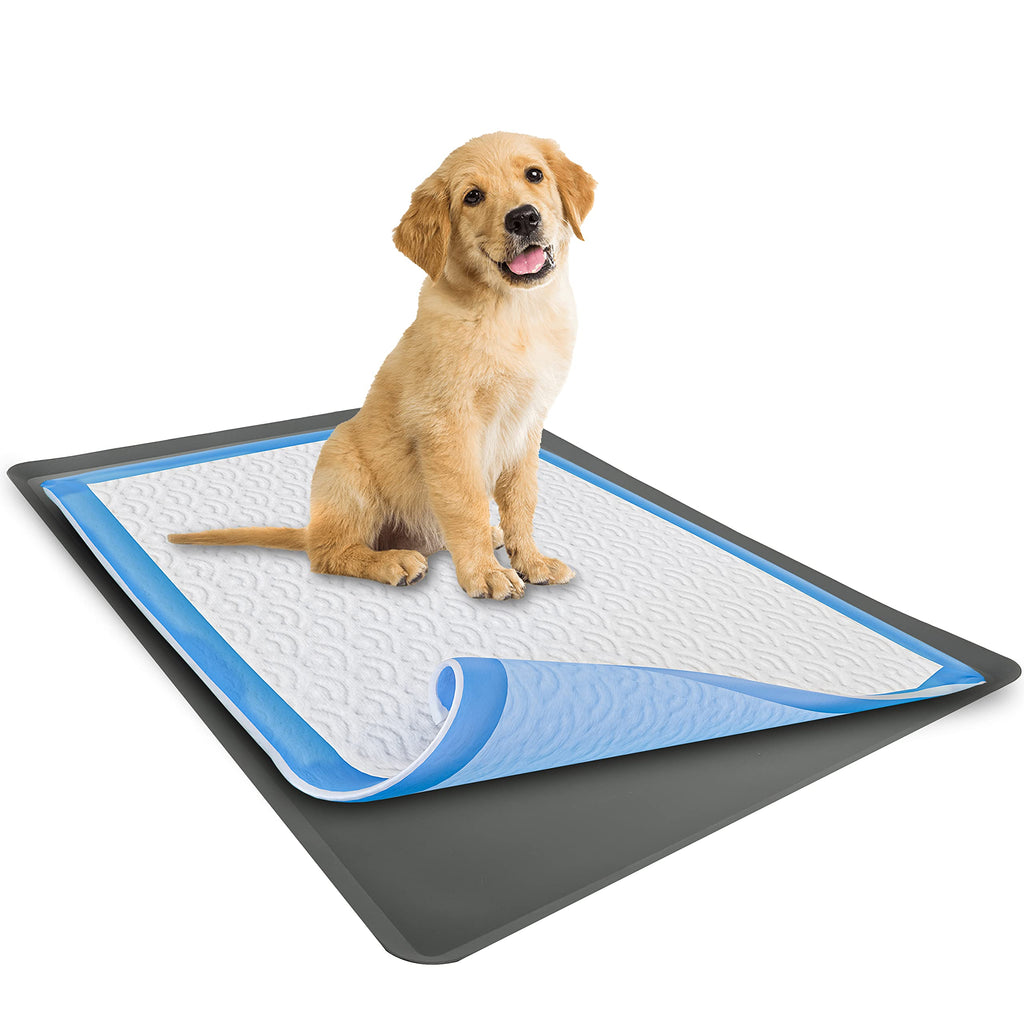 Skywin TidyFriend Pee Pad Holder Tray 28 x 34 Inches, Silicone Dog Potty Tray, Easy to Clean No Spill Dog Potty Training Pad Holder (Grey)