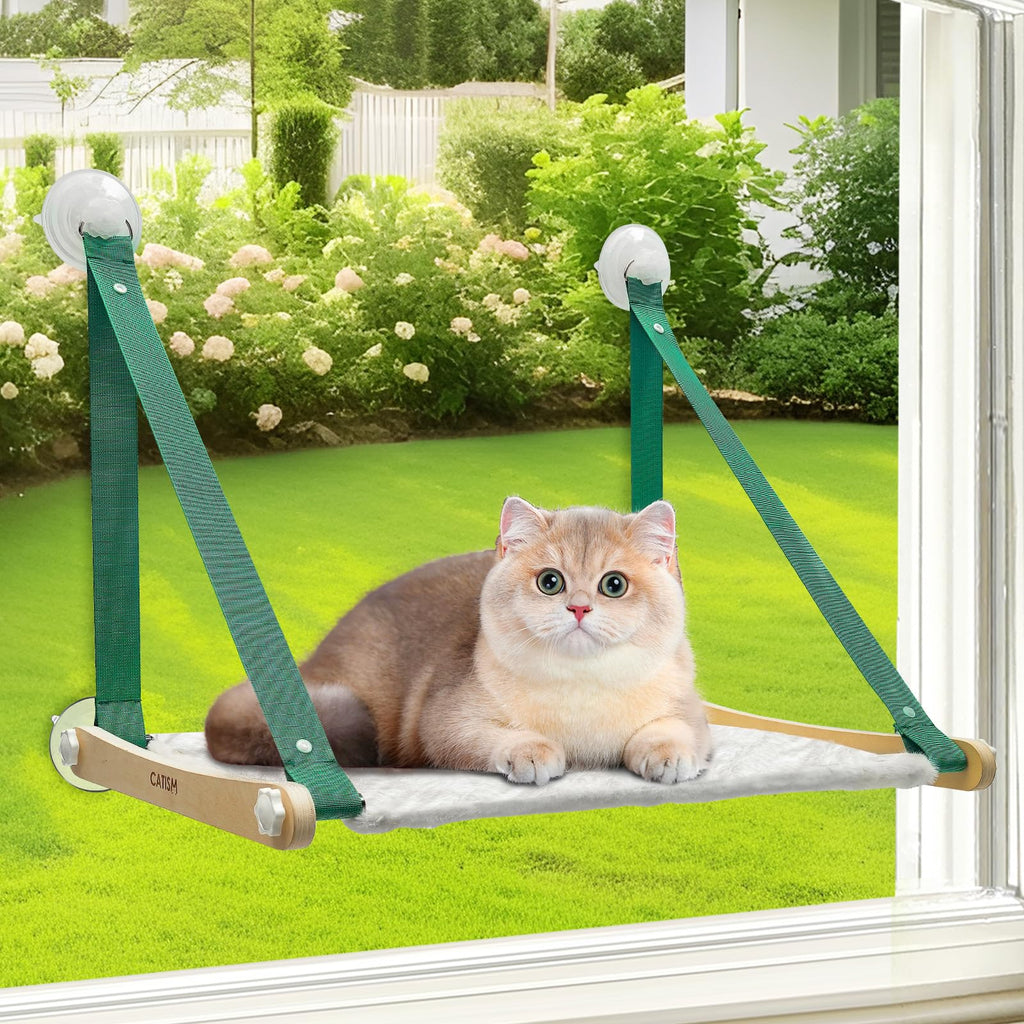 Cat Window Perch - Cats Hammock for Window, 2 in 1 Cat Window Hammock Bed for Indoor Cats, Cat Perch with Sturdy Screw Suction Cups for Kittens (Green)