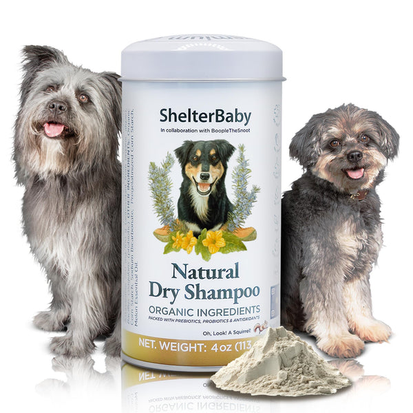 Dry Shampoo for Dogs – Itchy Skin & Hot Spot Relief, Yeast Infection & Paw Licking Treatment, Antifungal Dog Powder with Allergy Support