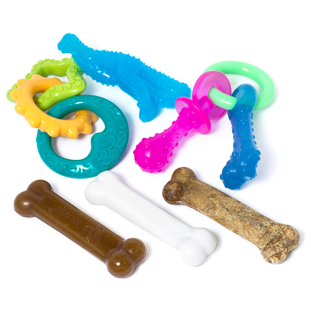 Nylabone New Puppy Starter Kit, 5 Chew Toys and 1 Natural Treat for Puppies, Multi Color, Bacon & Chicken Flavor, Small - Up to 25 lbs, 6 Pack